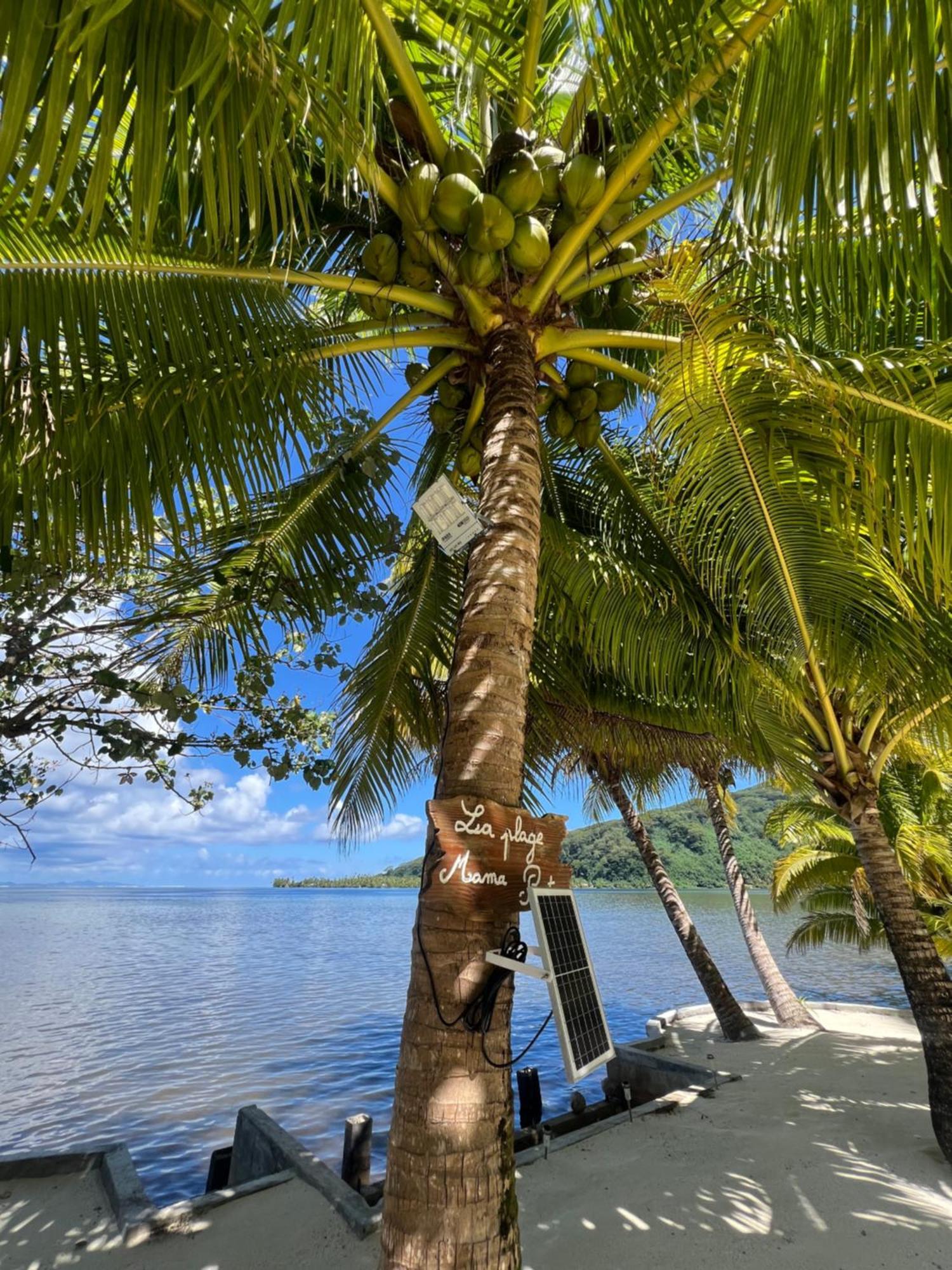 Fare Mama Rota - Au Bord De L'Ocean Villa Taputapuapea Exterior foto